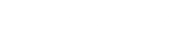 SaloonBox logo